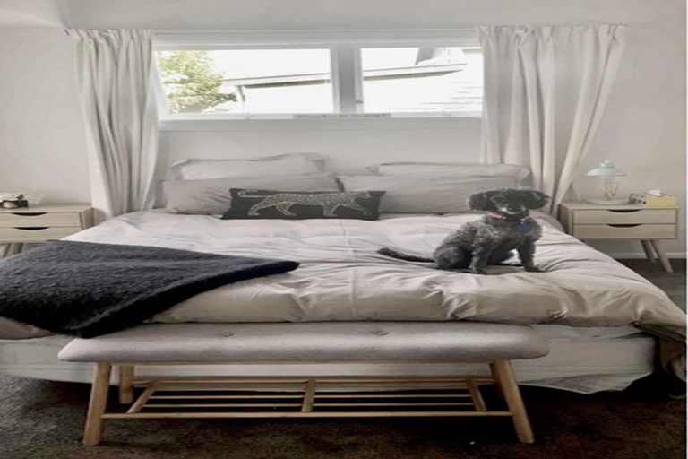 Photo of property in 17 Iwa Street, Mapua, 7005