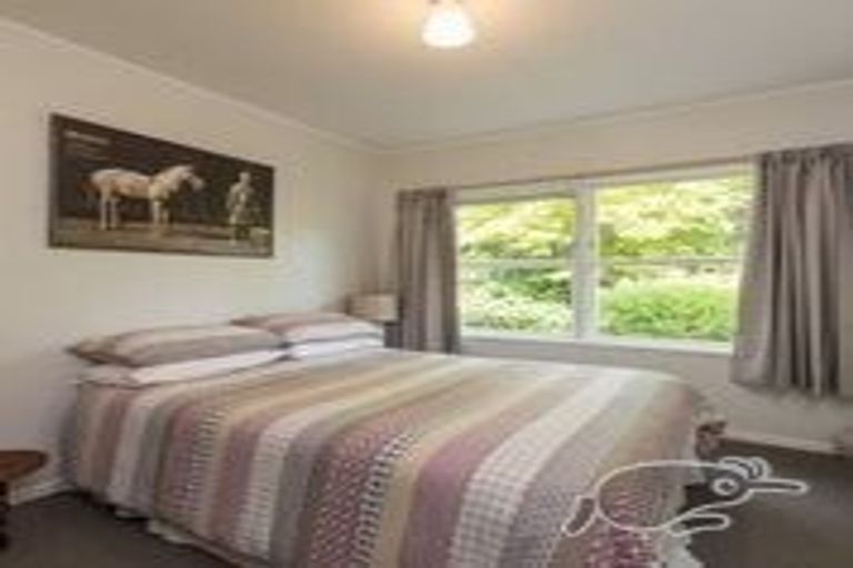 Photo of property in 351 Brook Street, The Brook, Nelson, 7010