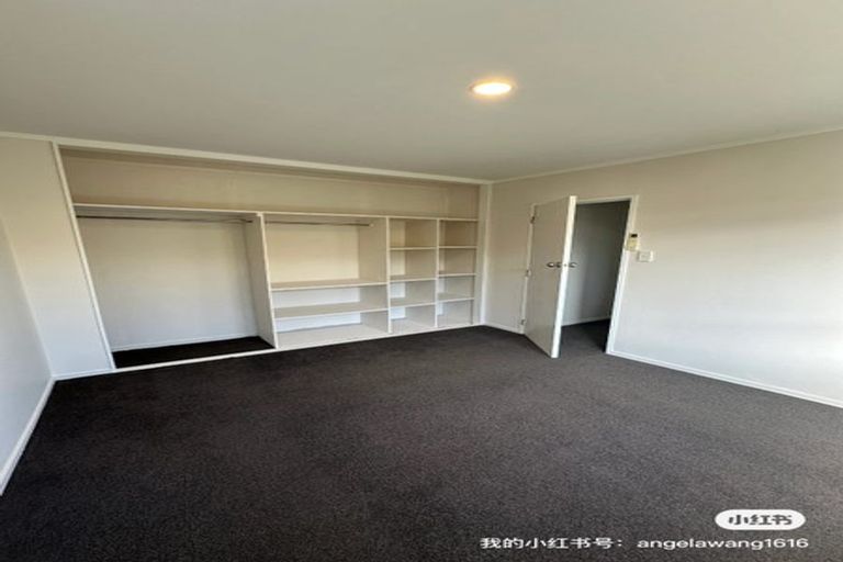 Photo of property in 62 Storey Avenue, Forest Lake, Hamilton, 3200