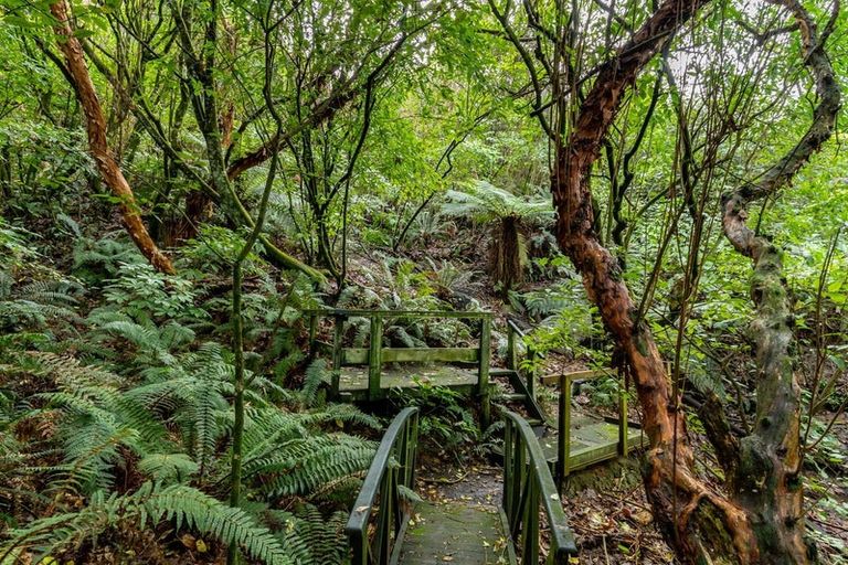 Photo of property in 38 Coombe Hay Terrace, Careys Bay, Port Chalmers, 9023