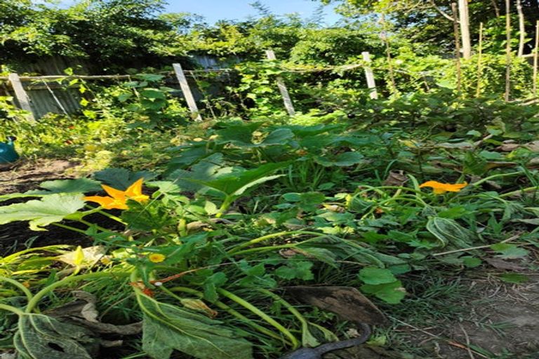 Photo of property in 55 Williamson Avenue, Belmont, Auckland, 0622