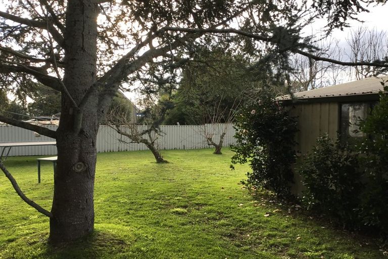 Photo of property in 5 Carmichael Road, Bethlehem, Tauranga, 3110