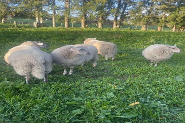 Photo of property in 64 Pukekauri Road, Waikino, Waihi, 3682