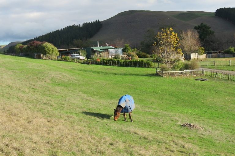 Photo of property in 727 Valley Road, Raukawa, Hastings, 4174