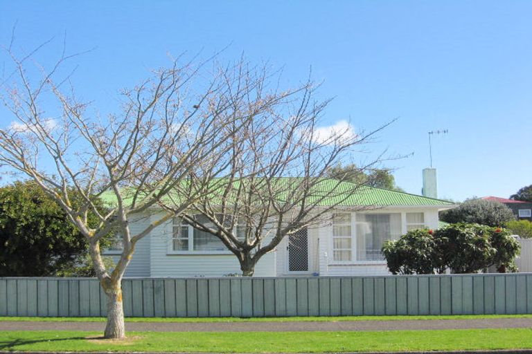 Photo of property in 51 George Street, Levin, 5510