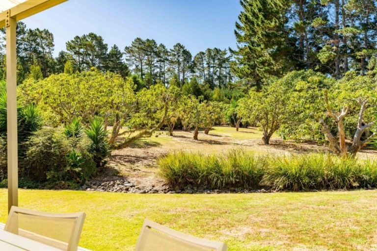 Photo of property in 379c Tara Road, Mangawhai, Kaiwaka, 0573