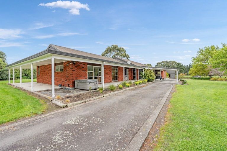 Photo of property in 245 Halcombe Road, Feilding, 4775