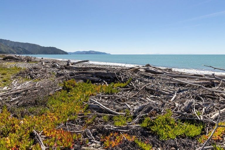 Photo of property in 20 Ngaio Street, Rarangi, Blenheim, 7273