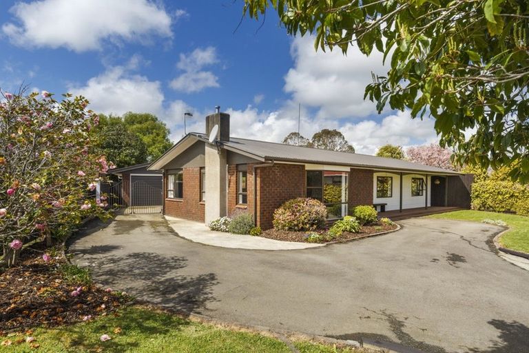 Photo of property in 25 Willowbank Crescent, Feilding, 4702