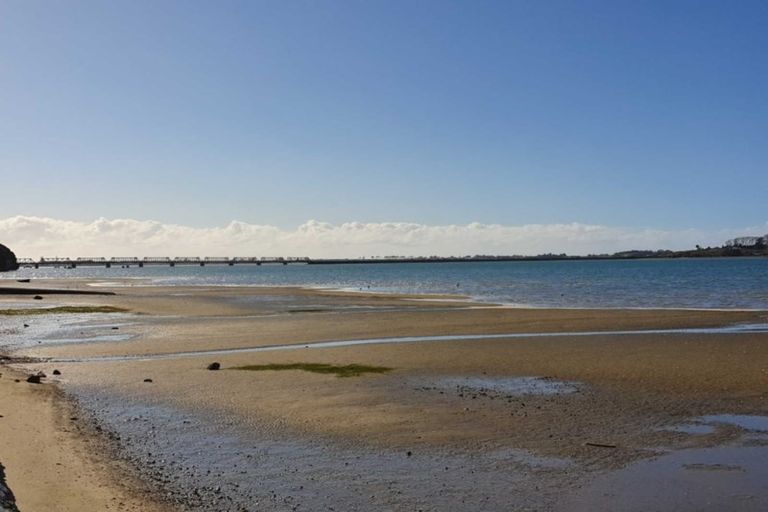 Photo of property in 1/36 Seventh Avenue, Tauranga, 3110