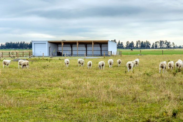 Photo of property in 1001 Tramway Road, Mount Somers, 7771