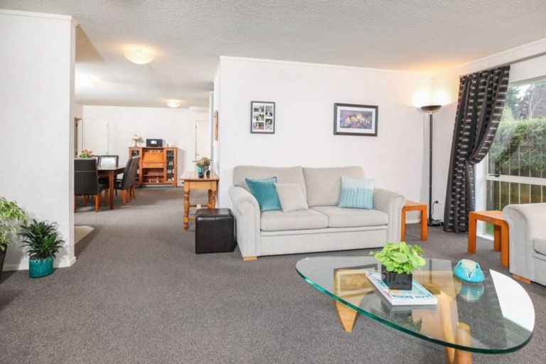 Photo of property in 10 Hastings Place, Hamilton Lake, Hamilton, 3204