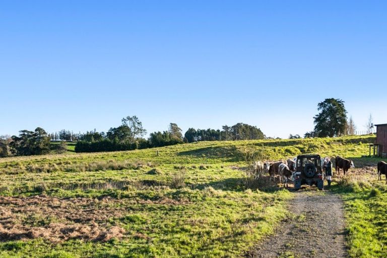 Photo of property in 197 Charles Road, Karaka, Papakura, 2580