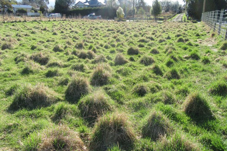 Photo of property in 69 Timaru Road, Waimate, 7924