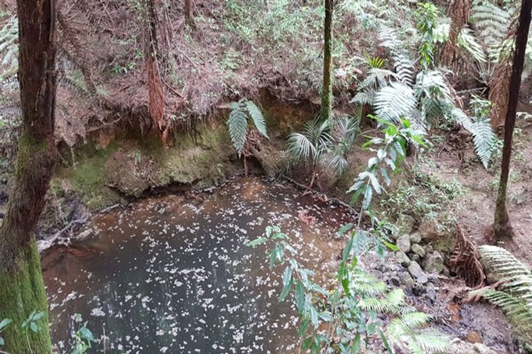 Photo of property in 973 Millbrook Road, Waipu, 0582