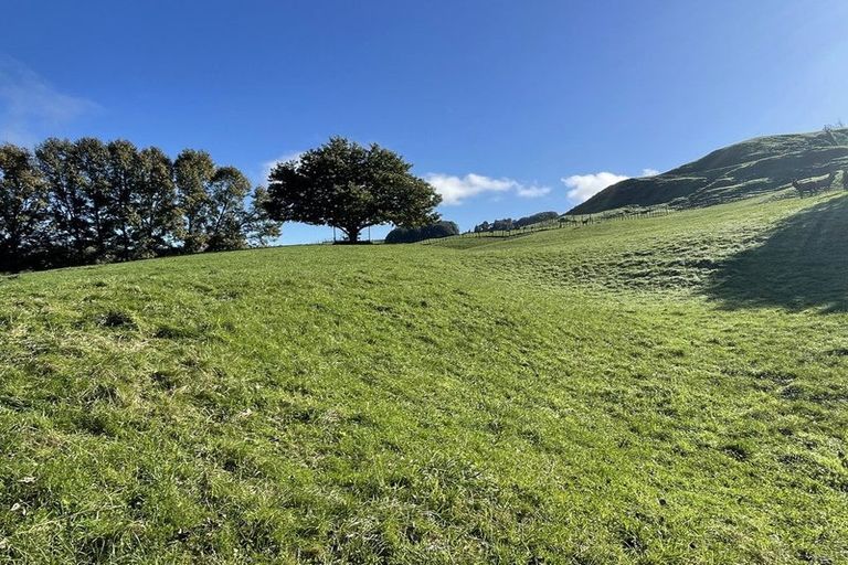 Photo of property in 80a Mangaotaki Road, Piopio, 3971