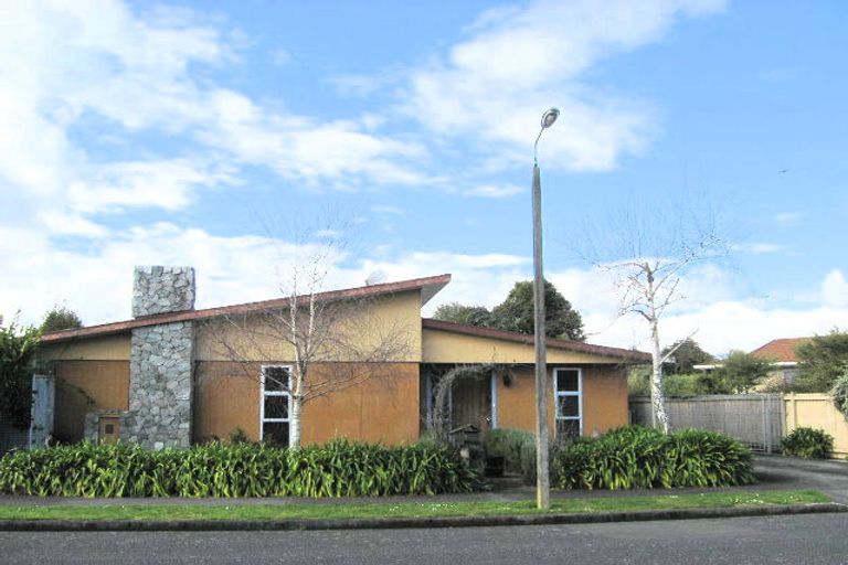 Photo of property in 54 Rimu Street, Levin, 5510