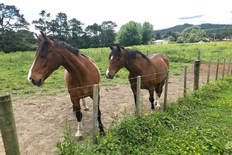 Photo of property in 867 Kahikatea Flat Road, Waitoki, Kaukapakapa, 0871