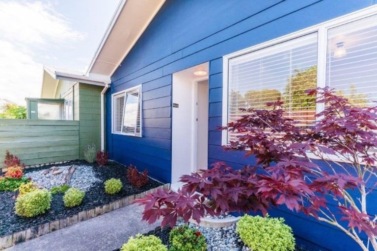 Photo of property in 40b Matavai Street, Mount Maunganui, 3116