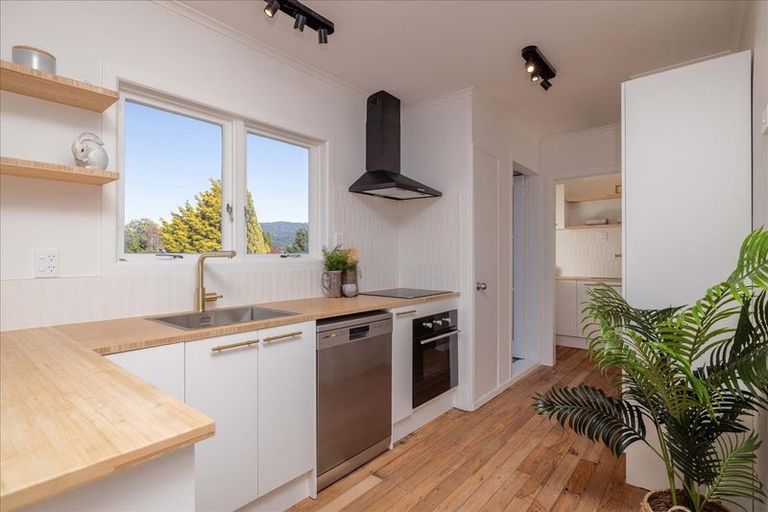 Photo of property in 19 Dunlop Road, Te Puke, 3119