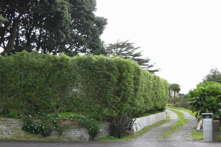Photo of property in 448 Saint Aubyn Street, Moturoa, New Plymouth, 4310