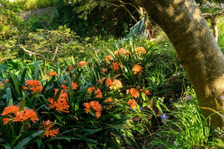 Photo of property in 160 Grace Road, Tauranga South, Tauranga, 3112