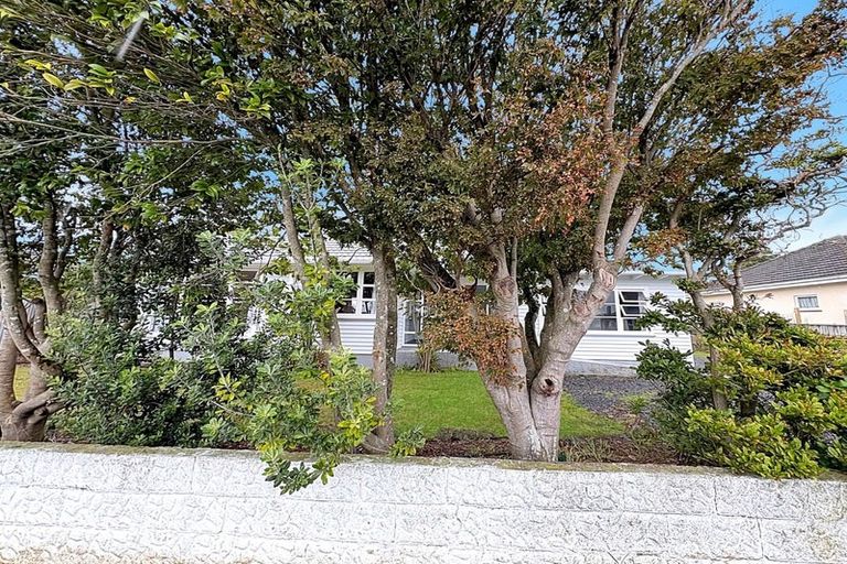 Photo of property in 8 Derby Street, Levin, 5510