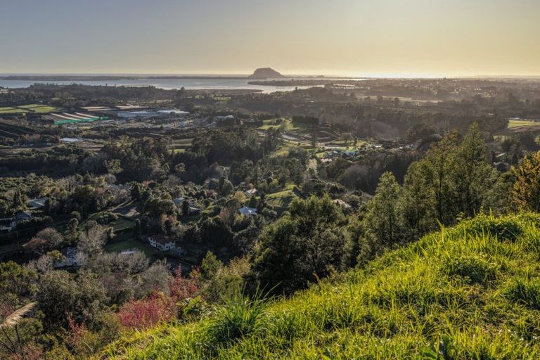 Photo of property in 213e Minden Road, Minden, Tauranga, 3176