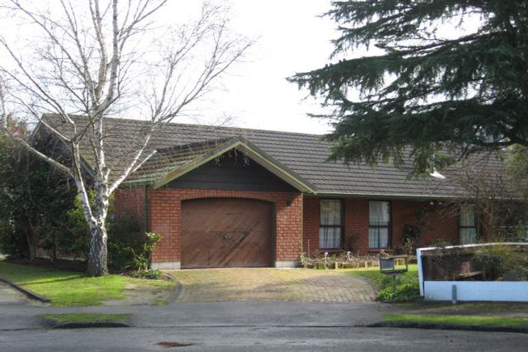 Photo of property in 8 Cobham Place, Solway, Masterton, 5810