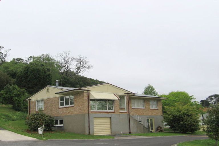 Photo of property in 60 Willoughby Street, Paeroa, 3600