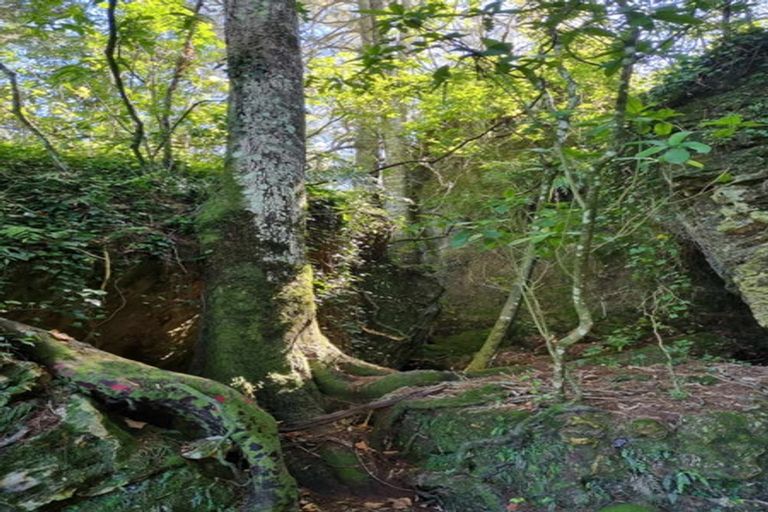 Photo of property in 584b State Highway 3, Waitomo, Te Kuiti, 3977