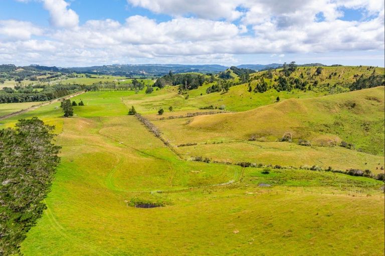 Photo of property in 113b Marua Road, Hikurangi, 0181