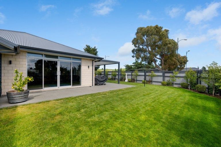 Photo of property in 59 Grigg Drive, Witherlea, Blenheim, 7201