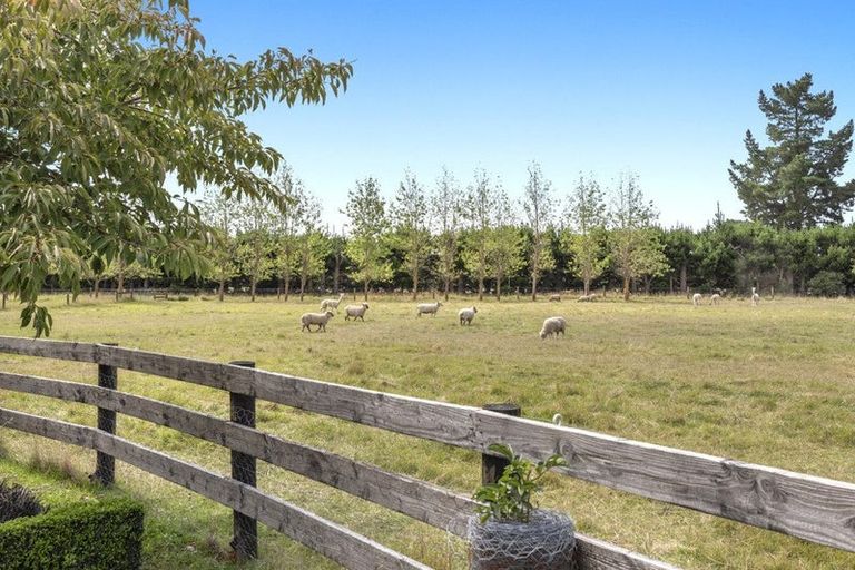 Photo of property in 164 Harrs Road, Swannanoa, Kaiapoi, 7692