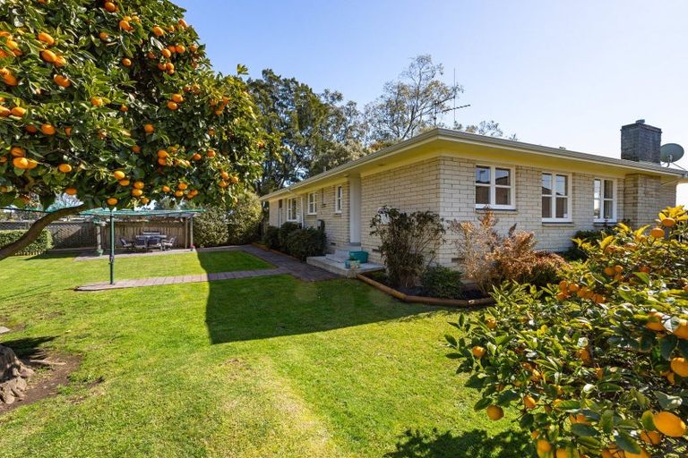 Photo of property in 17 Filmer Place, Melville, Hamilton, 3206