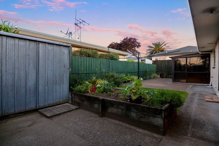 Photo of property in 55b Sixteenth Avenue, Tauranga South, Tauranga, 3112