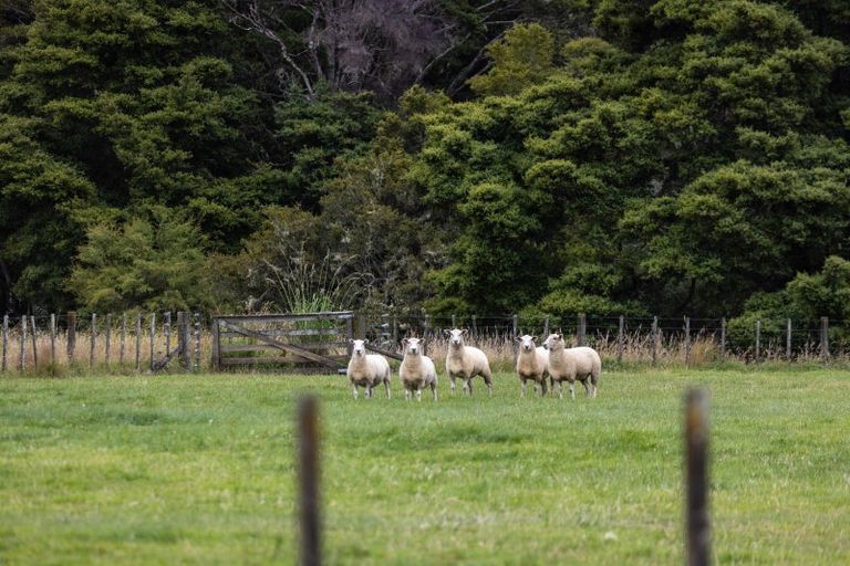 Photo of property in 7 Pebble Brook Road, Waitoki, Silverdale, 0994