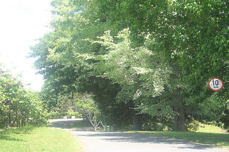 Photo of property in 2/205 No 2 Road, Te Puke, 3182