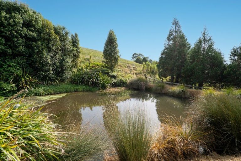 Photo of property in 3/398 Luck At Last Road, Maungatautari, Cambridge, 3494