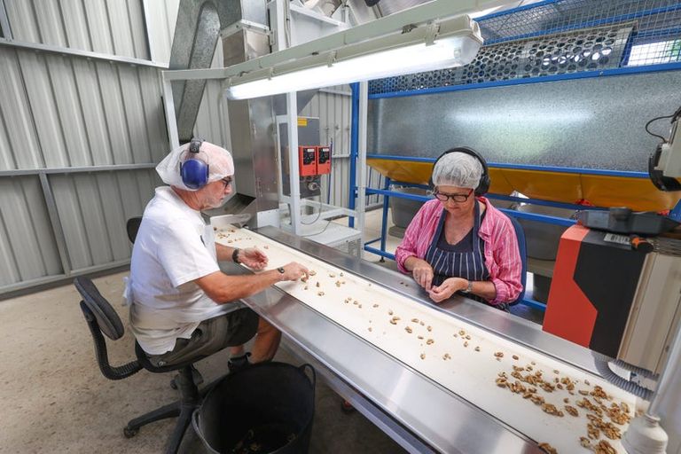 Photo of property in 60 Golden Hills Road, Appleby, Richmond, 7081