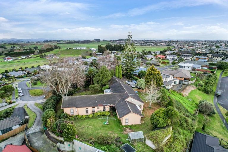 Photo of property in 17 Palm Grove Drive, Western Heights, Hamilton, 3200