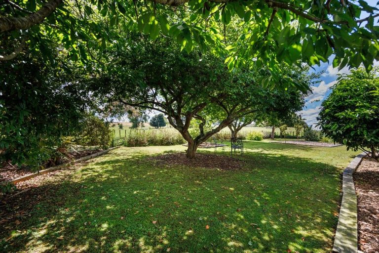 Photo of property in 6 Griffins Road, Marton, 4788