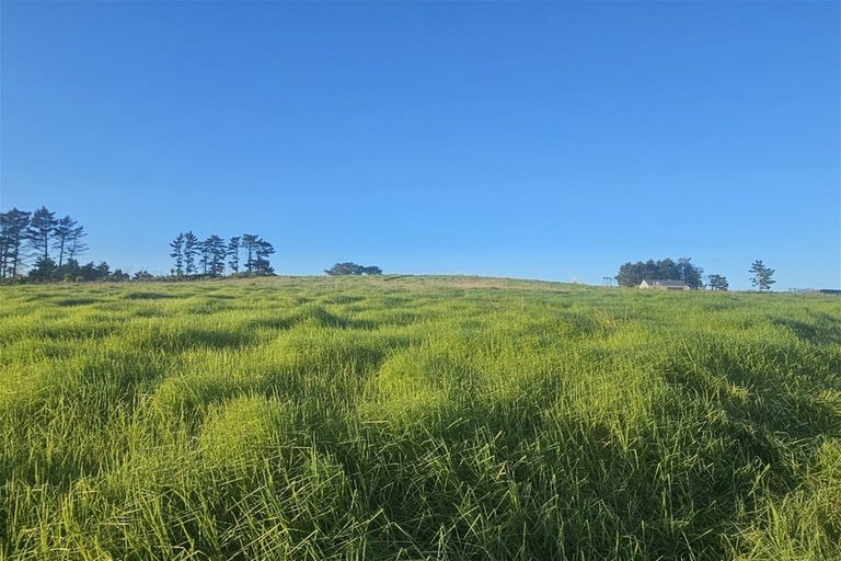 Photo of property in 47 Matahehe Lane, Tinopai, 0593