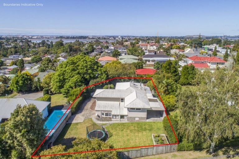 Photo of property in 239 Waihi Road, Judea, Tauranga, 3110