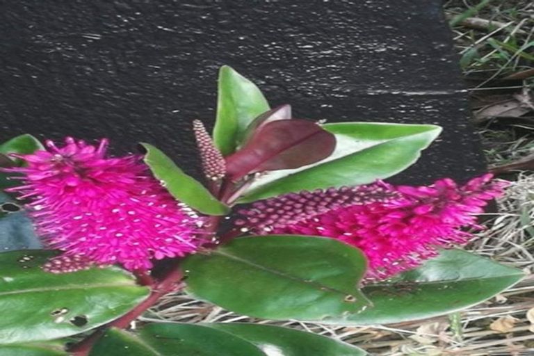 Photo of property in 3 North Street, Mokau, 4376