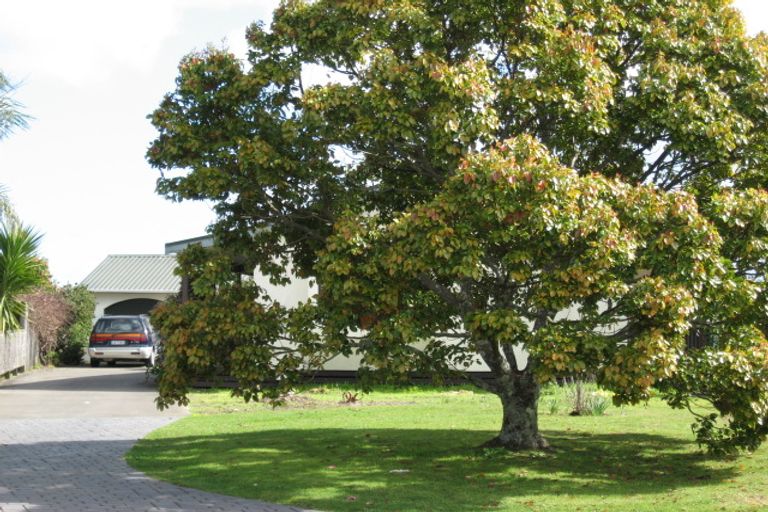 Photo of property in 16 Amber Grove, Whakatane, 3120