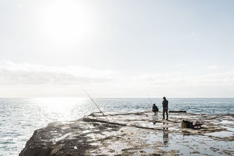 Photo of property in 38 Vintry Drive, Huapai, 0810