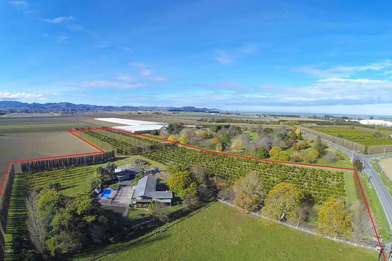 Photo of property in 693 Awapuni Road, Matawhero, Gisborne, 4071