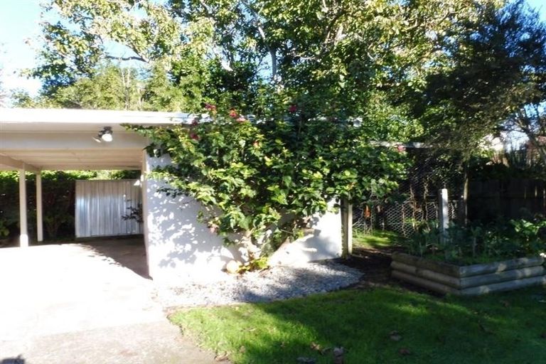 Photo of property in 38 Parsons Street, Saint Johns Hill, Whanganui, 4501