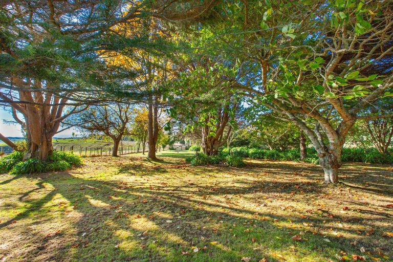 Photo of property in 1154 Te Akau Road South, Te Akau, Ngaruawahia, 3793